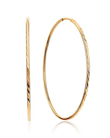 Fabulous Golden Hoop Earrings, image 