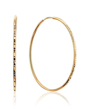Textured Golden Hoop Earrings, image 