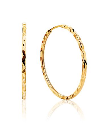 Chic Golden Hoop Earrings, image 
