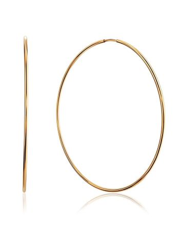 Extra Size Golden Hoop Earrings, image 