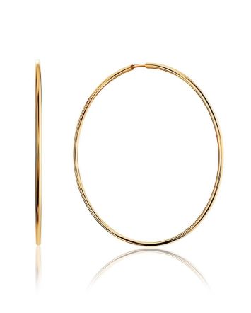Sleek Golden Hoop Earrings, image 