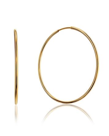 Stylish Sleek Golden Hoop Earrings, image 