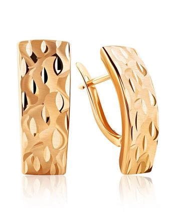 Textured Golden Latch Back Earrings, image 