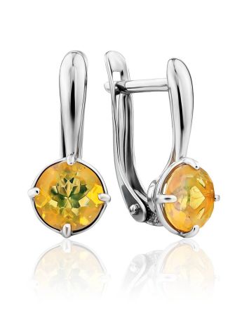 Chic Silver Opal Earrings, image 