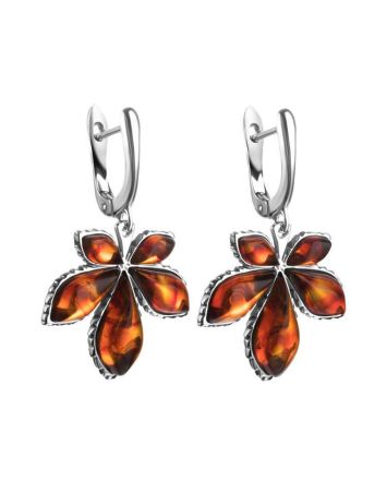 Cognac Amber Earrings In Sterling Silver The Chestnut, image 