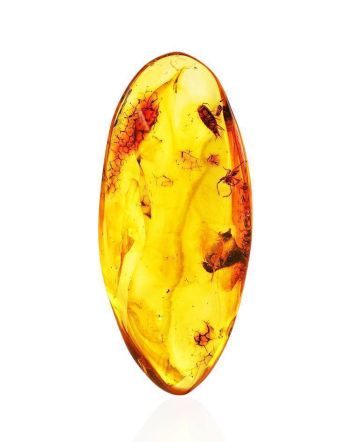 Cognac Amber Souvenir Stone With Inclusions, image 
