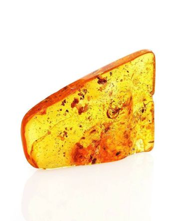 Cognac Amber Souvenir Stone With Insect Inclusions, image 