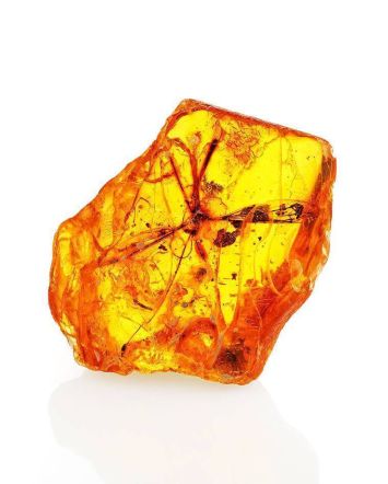 Genuine Amber Stone With Insect Inclusion, image 