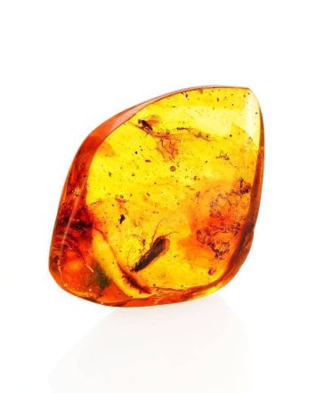 Natural Amber Stone With Insect Inclusion, image 