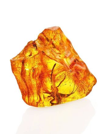 Genuine Amber Stone With Spider Inclusion, image 