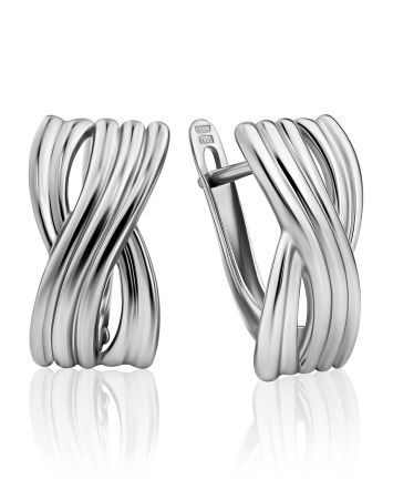 Sleek Silver Earrings, image 