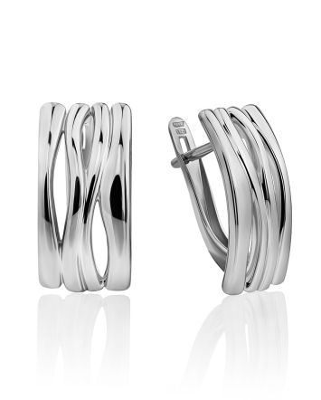Glossy Silver Earrings, image 