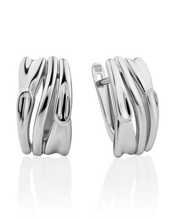 Sleek Silver Earrings, image 