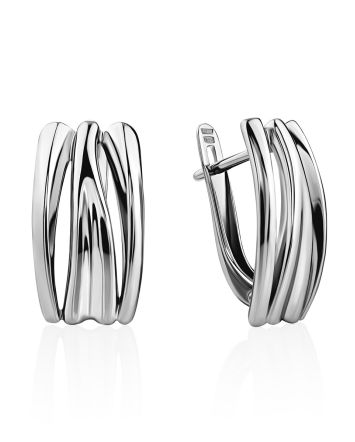 Elegant Silver Earrings, image 