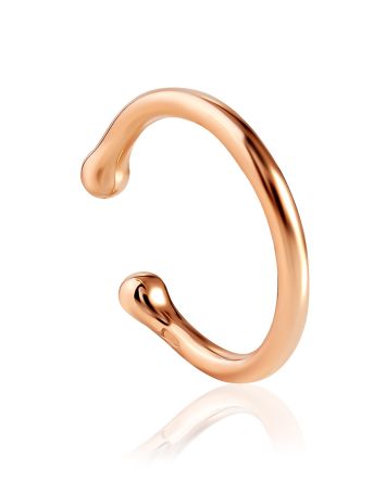 Ultra Chic Gilded Silver Ear Cuff The Liquid, image 