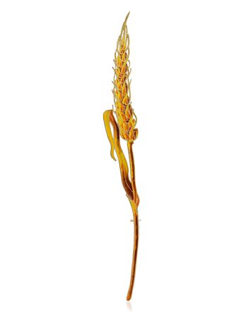 Designer Ear Of Wheat Enamel Brooch, image 