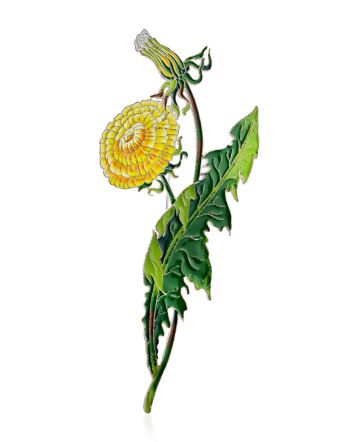 Fabulous Dandelion Deisgn Brooch, image 