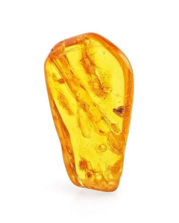 Amber Souvenir Stone With Fly Inclusion, image 