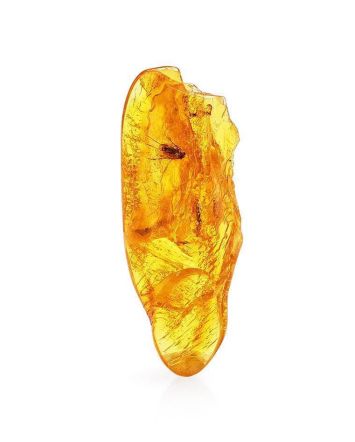 Natural Amber Stone With Fly Inclusion, image 