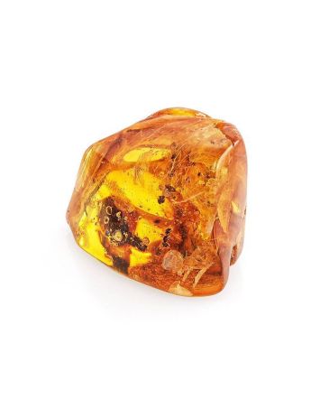 Natural Textured Amber Stone With Ant Inclusion, image 
