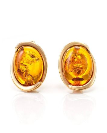 Amber Earrings In Gold-Plated Silver The Strauss, image 