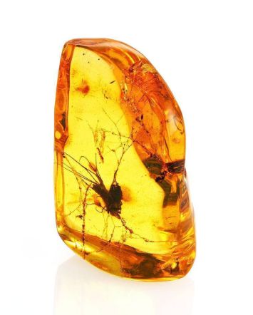 Souvenir Amber Stone With Floral Inclusion, image 