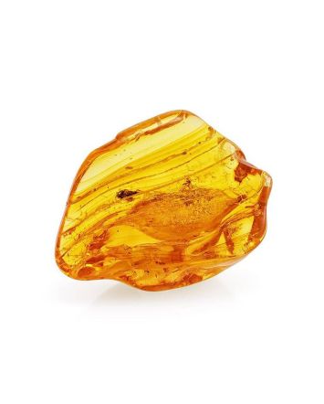 Souvenir Amber Stone With Fly Inclusions, image 