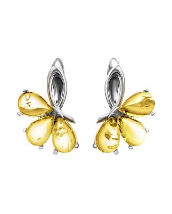 Bright Amber Earrings In Sterling Silver The Dandelion, image 