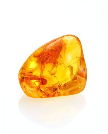 Glossy Amber Stone With Spider Inclusion, image 
