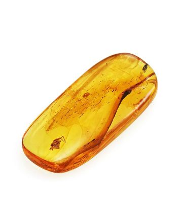 Souvenir Amber Stone With Spider Inclusion, image 