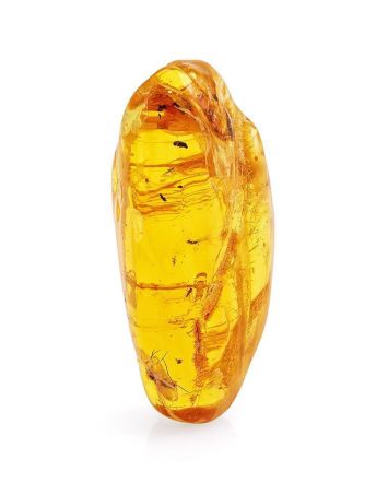 Amber Stone With Insect Inclusion, image 