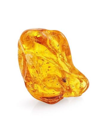 Glossy Amber Stone With Fly Inclusion, image 