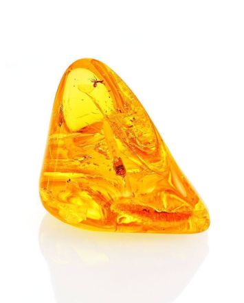 Luminous Amber Stone With Spider Inclusion, image 