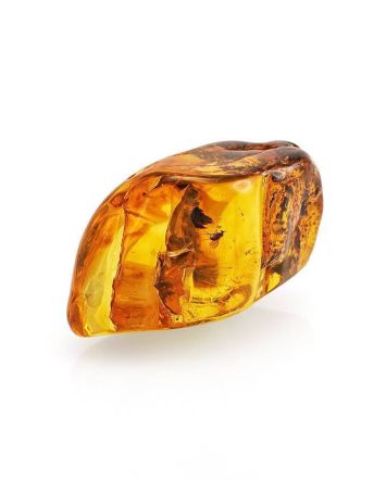 Amber Souvenir Stone With Inclusion, image 
