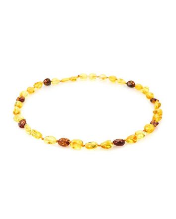 Multicolor Amber Teething Choker Necklace, image 