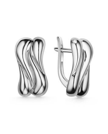 Glossy Silver Earrings, image 