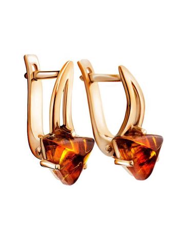 Stylish Golden Earrings With Amber, image 