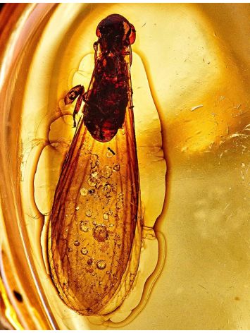 Amber Cocktail Ring With Insect Inclusions The Clio, Ring Size: Adjustable, image , picture 3