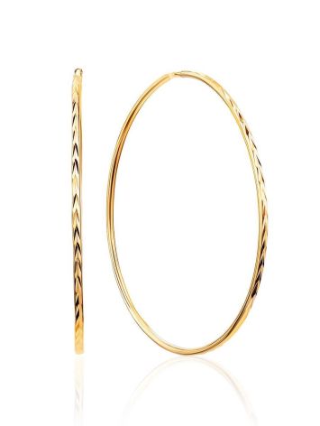 Fashionable Golden Hoop Earrings, image 