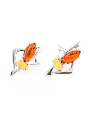 Bold Silver Earrings With Multicolor Amber The Pegasus, image , picture 5
