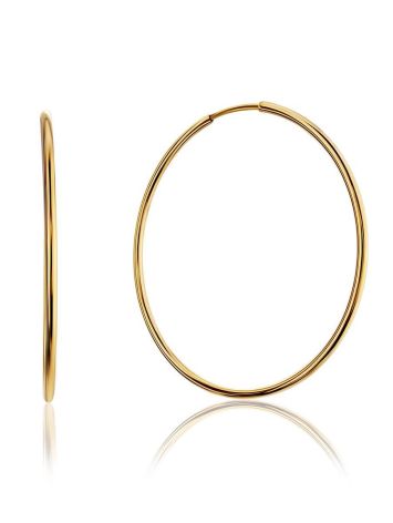 Stylish Sleek Golden Hoop Earrings, image 