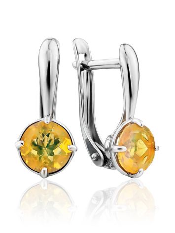 Chic Silver Opal Earrings, image 