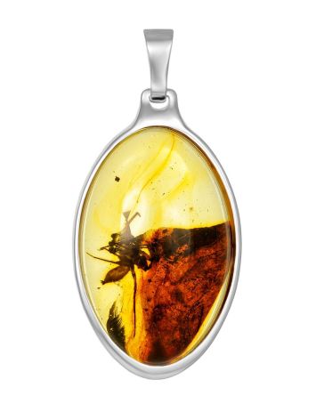 Exclusive Silver Amber With Inclusion The Clio, image 
