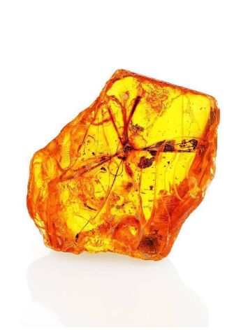 Genuine Amber Stone With Insect Inclusion, image 