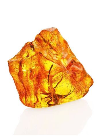 Genuine Amber Stone With Spider Inclusion, image 