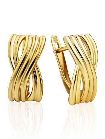 Intertwined Design Gilded Silver Earrings, image 