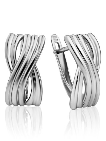 Sleek Silver Earrings, image 
