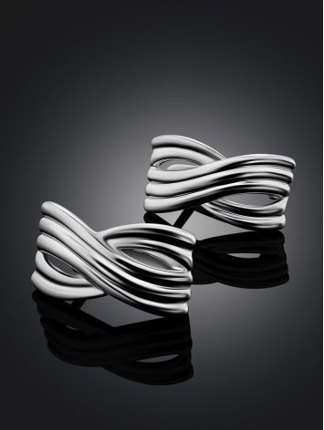 Sleek Silver Earrings, image , picture 2