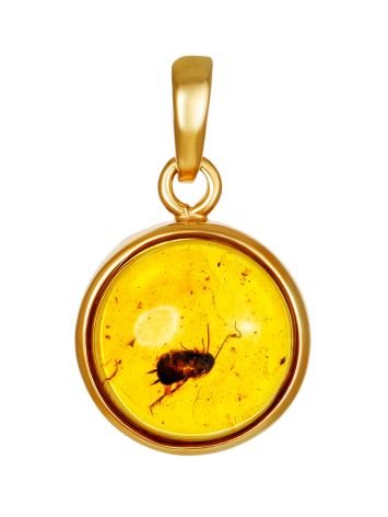 One Of A Kind Amber With Fossil Bug Pendant The Clio, image 