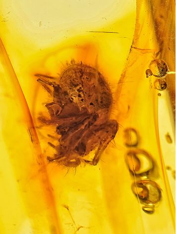 Dark Amber Cuff Bracelet With Insect, image , picture 4